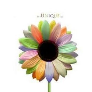 Meet your Posher, Leann